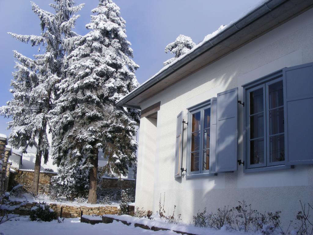 Bagolyvár Fogadó- Újfalusy Márton Vendégház Zirc Exterior foto