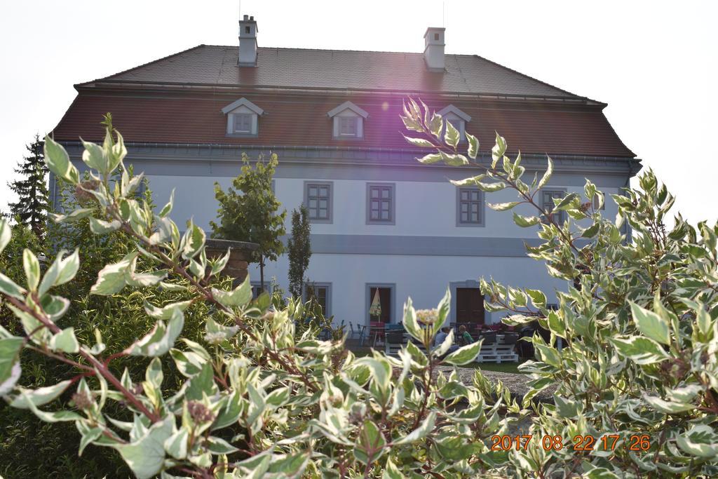 Bagolyvár Fogadó- Újfalusy Márton Vendégház Zirc Exterior foto